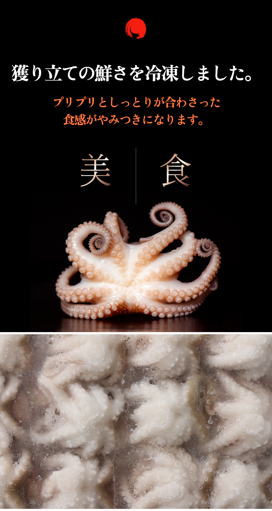 [凍]冷凍イイダコ400g/下処理済み バラ凍結で使いやすい タコ たこ 蛸 チュクミ