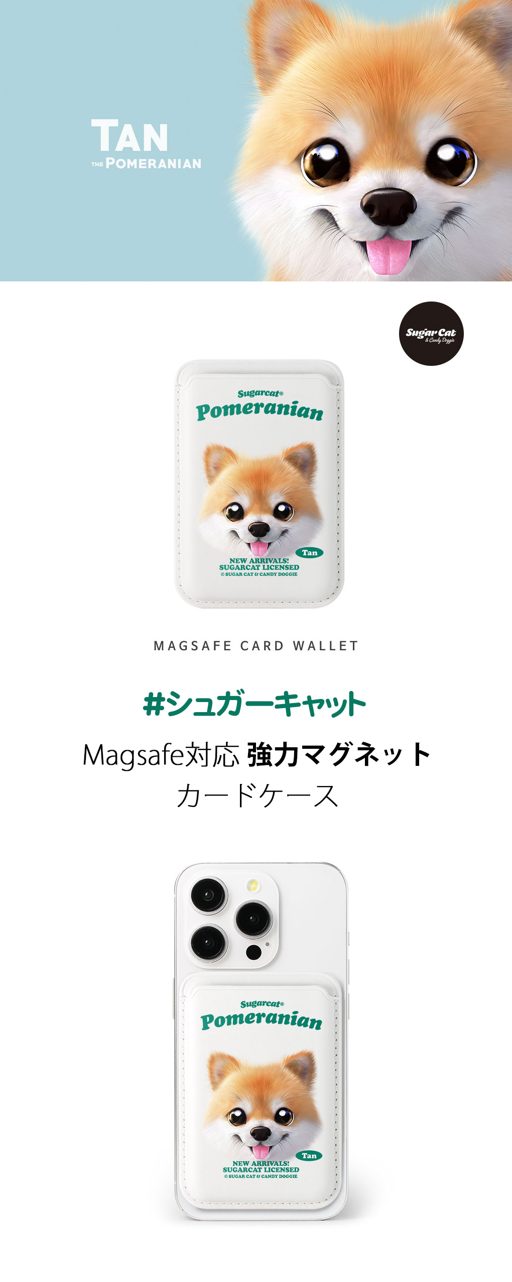 [sugarcat] MagSafe カードケース ポメラニアン TAN / 犬 ポメラニアンデザイン マグセーフ MagSafe対応 レザーウォレット カードケース シュガーキャット ペット #クリックポスト