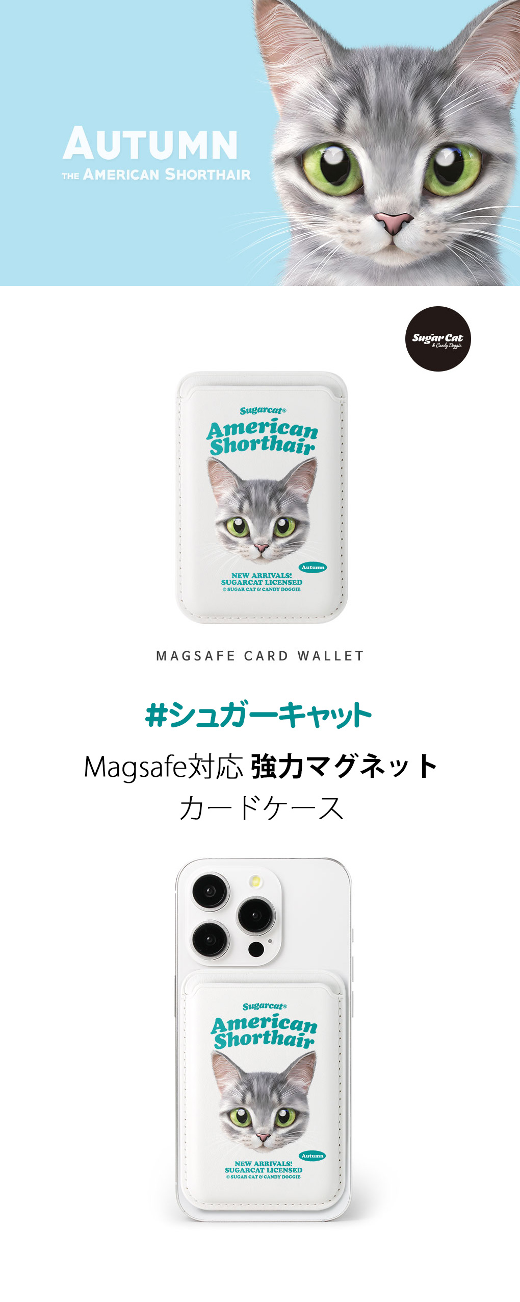 [sugarcat] MagSafe カードケース アメリカンショートヘア autumn / アメリカンショートヘア 猫デザイン マグセーフ MagSafe対応 レザーウォレット カードケース シュガーキャット 猫 ペット #クリックポスト