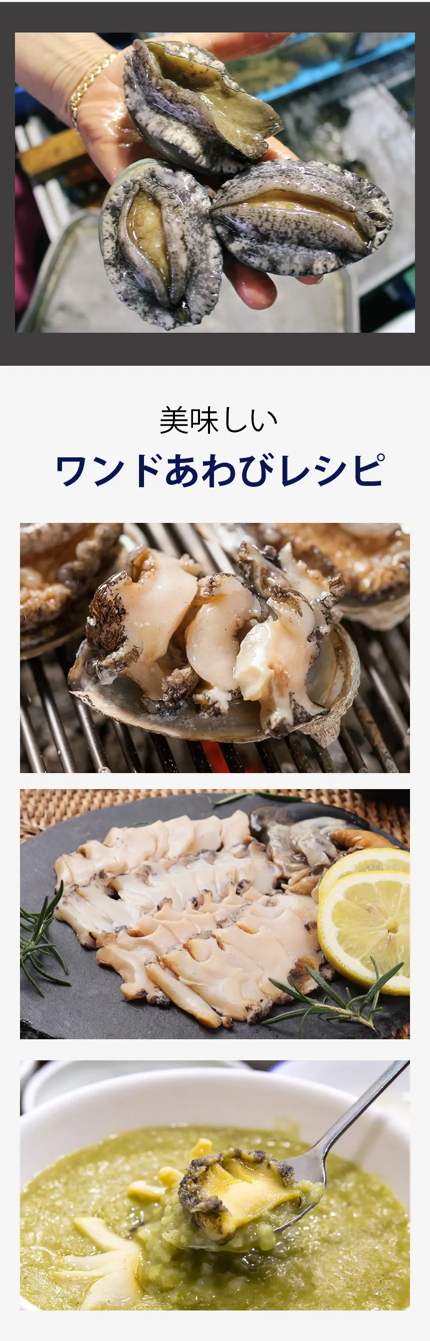 [韓国産] アワビ あわび 天然 韓国ワンド 鮑 / 約1kg Lサイズ - Mサイズ ランダム入り 海鮮 お刺身 魚介 養殖（冷凍）