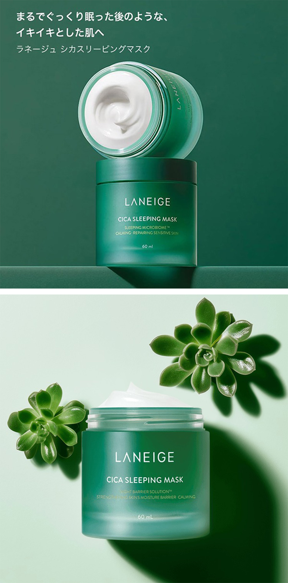 フェイスクリーム rika ラネージュ] シカ スリーピングマスク / 60ml フェイスクリーム 保湿