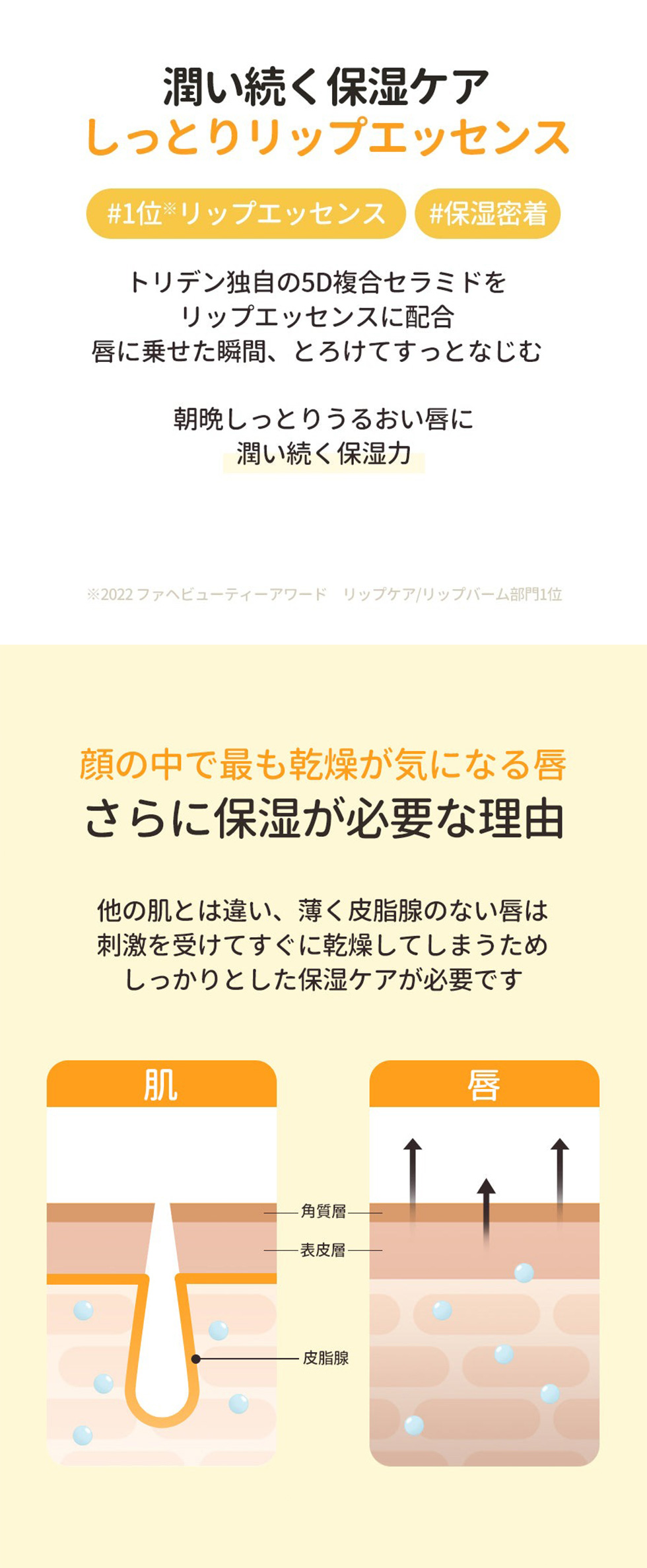 [Torriden] トリデン ソリッドイン リップエッセンス / 11g リップケア 角質ケア スリーピングパック 韓国コスメ リップ 口紅 唇 ケア 人気メイク ※ネコポスで発送